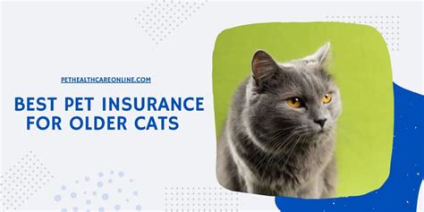 pet insurance for senior cat.